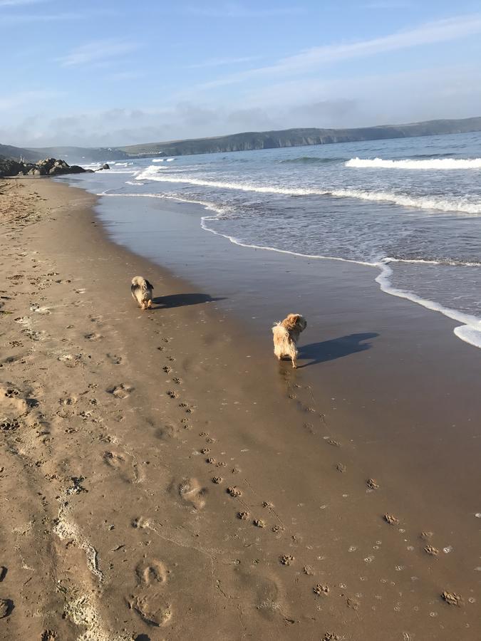 5, Sandleigh Apartment Woolacombe Dış mekan fotoğraf